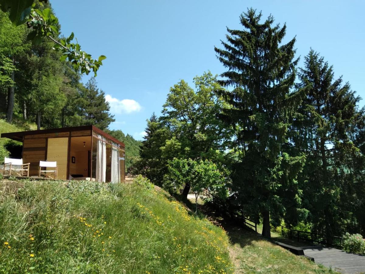 Suxen Nature Experience - Lodge Con Vista Panoramica Prepotto  Esterno foto